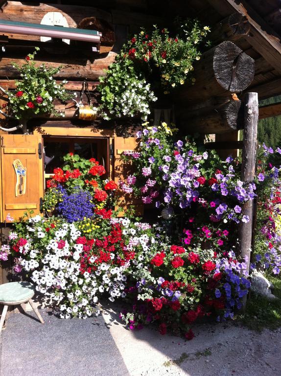 Andrea Schmaranzer - Privatzimmer Gosau Exterior photo